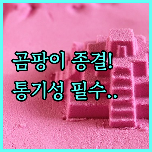 곰팡이방지 도배지 추천 기준: 항균 ..