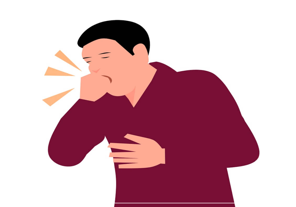 코엔자임 큐텐의 효능