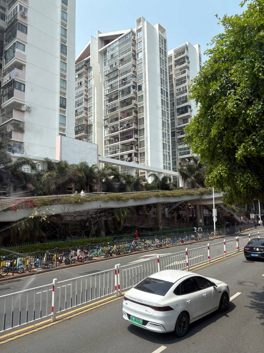 샤먼대학교 예약