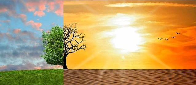 오른쪽은 초록색 들판과 초록색 나무와 푸른 하늘 왼쪽은 모래와 마른 나무 붉은 하늘 사진