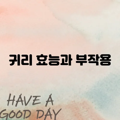 귀리 효능과 부작용