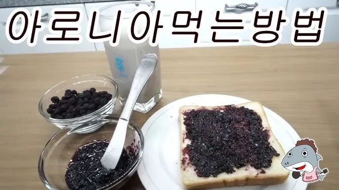 아로니아 효소만드는법과 효능효과 부작용 꽃 엑기스 활용법_3