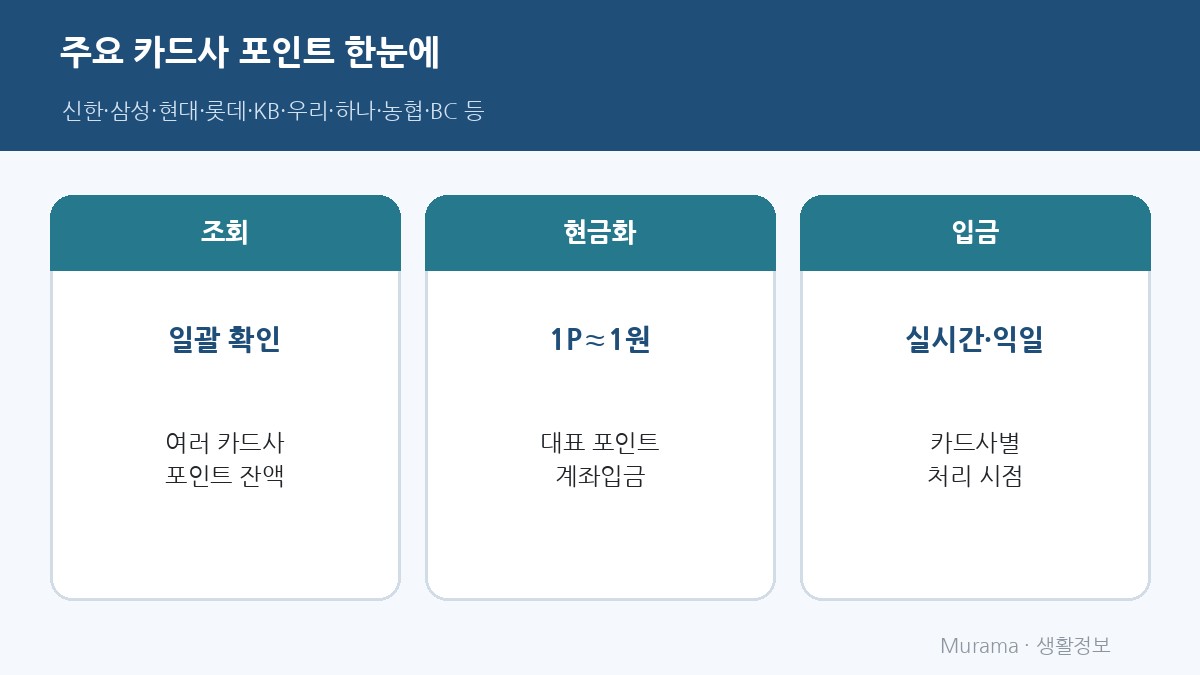 주요 카드사 포인트 일괄조회·계좌입금 개요