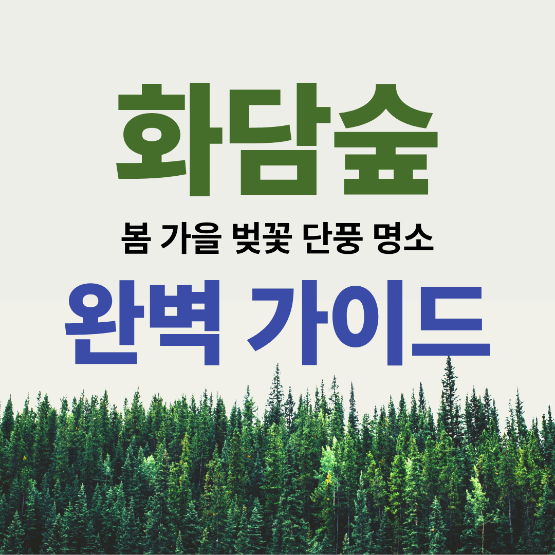 화담숲 가을 단풍 명소 완벽 가이드