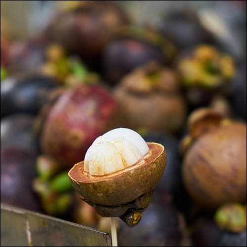 망고스틴 판매 모습