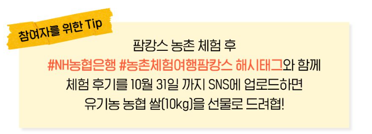 참여후기 이젠트 안내