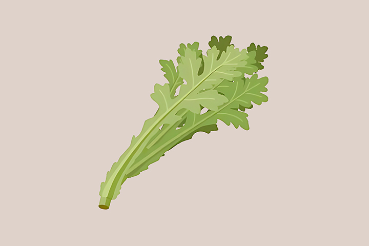 쑥갓-하루-섭취-권장량