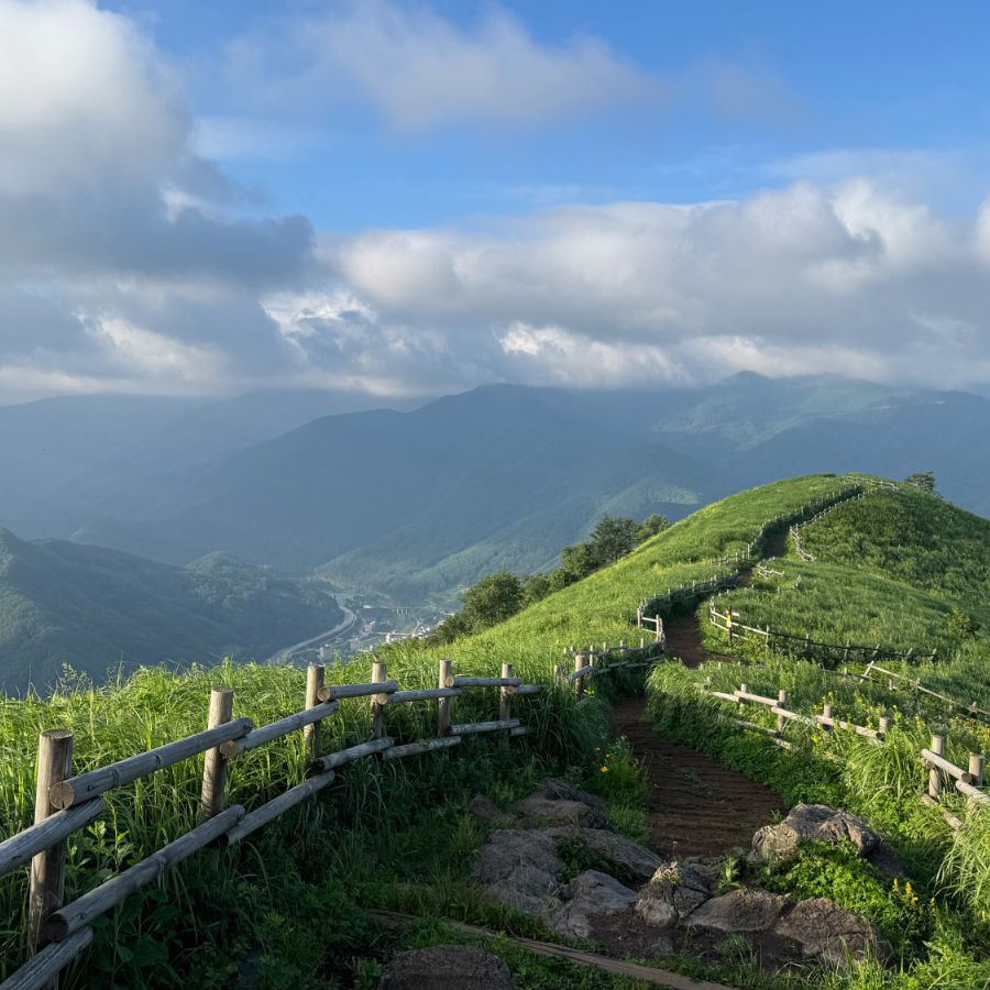 민둥산
