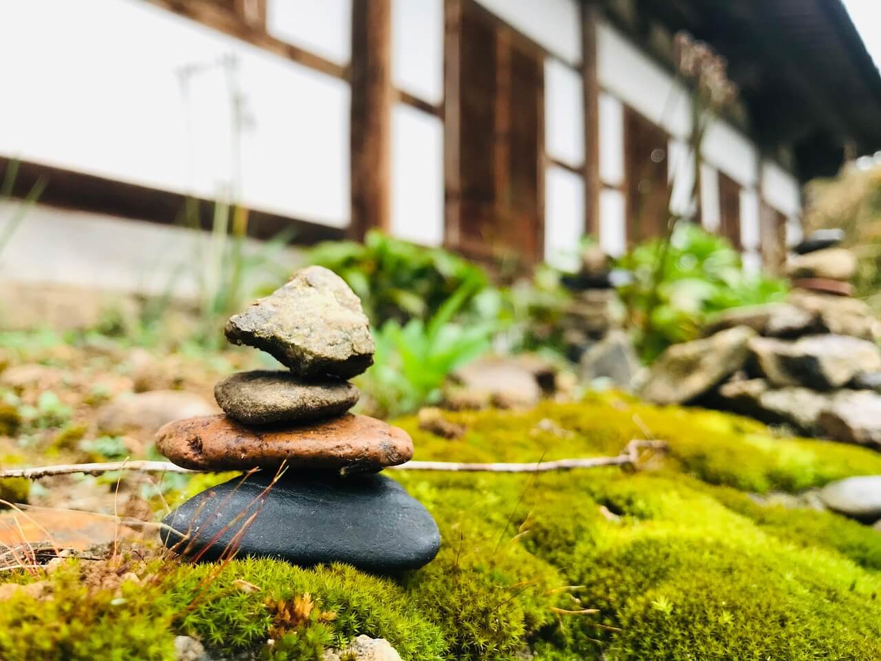 2025년 제주도 여행 지원 사업 - 『제주기점 뱃길관광 활성화』 뱃길이용 단체관광객 지원 공고