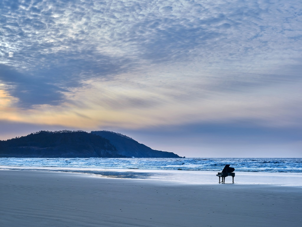 대한민국 문화의 달-자은도 피아노 축제-동백파마머리벽화-퍼플섬