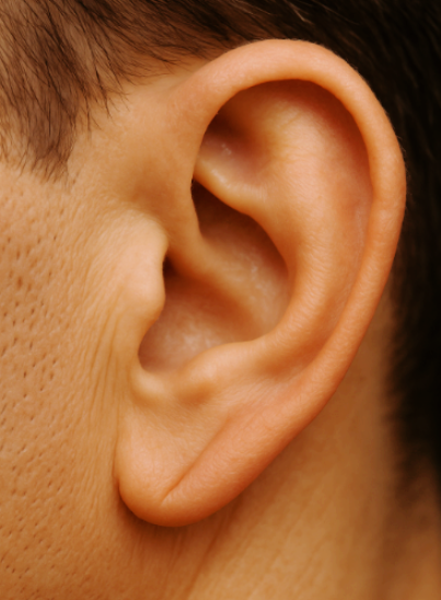 프랭크증후군-사진1