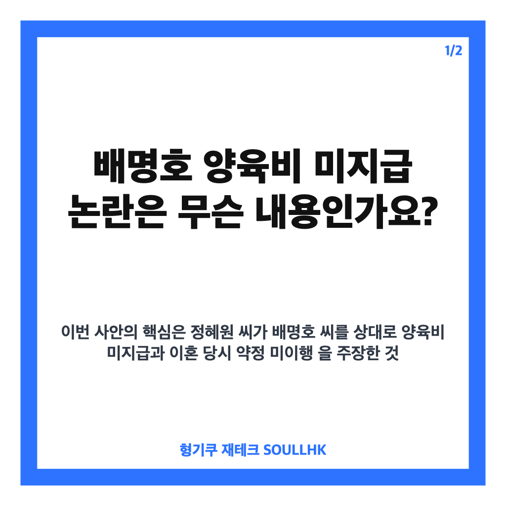 배명호 양육비 미지급 논란, 전처 주장과 법적 절차 쟁점 정리 카드뉴스 1