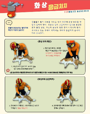 열상&amp;#44; 자상 응급처치 메뉴얼