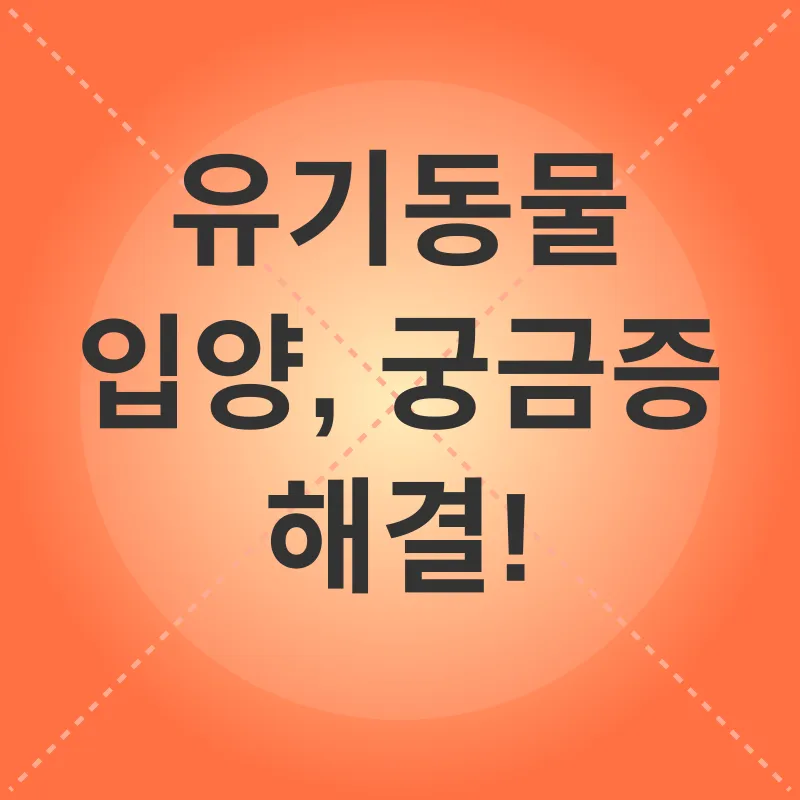 유기동물 입양_4