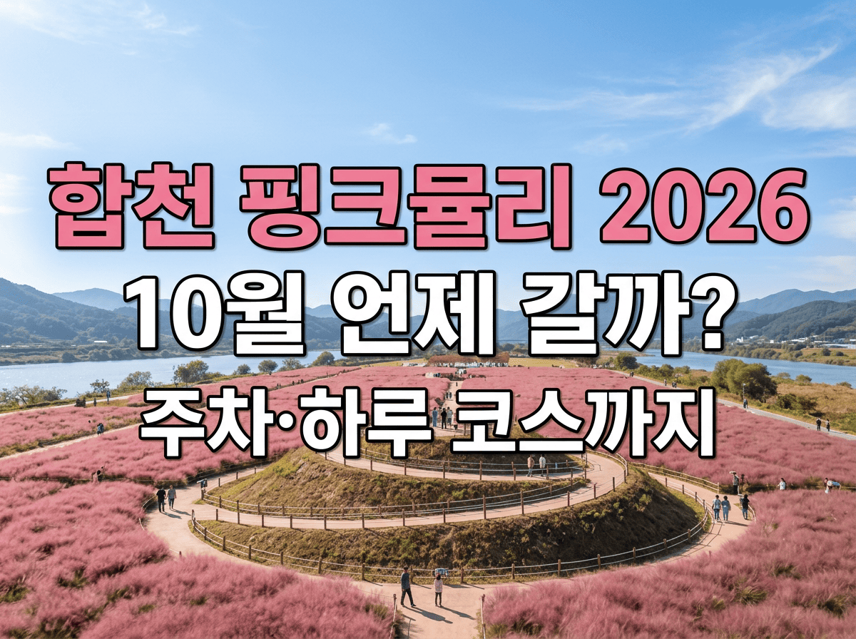 나선형 산책길을 따라 핑크뮬리가 펼쳐진 합천 신소양체육공원 가을 풍경