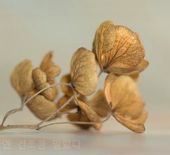 황태 콩나물국 만드는법