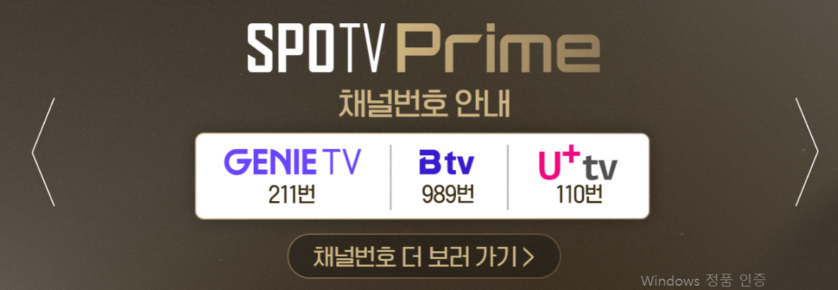 프리미어12-중계