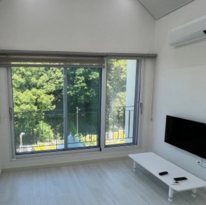 용인/새로운/인기/핫플/용/자작나/숲