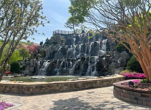 용인자작나무숲