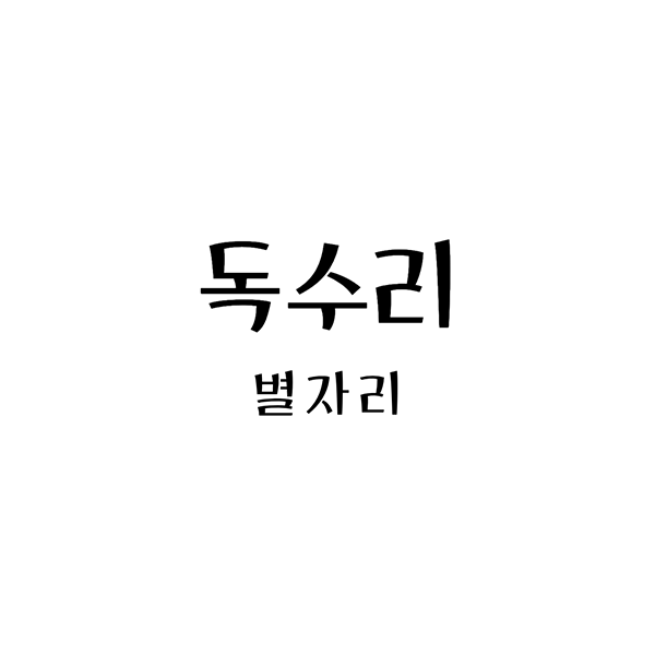 독수리자리