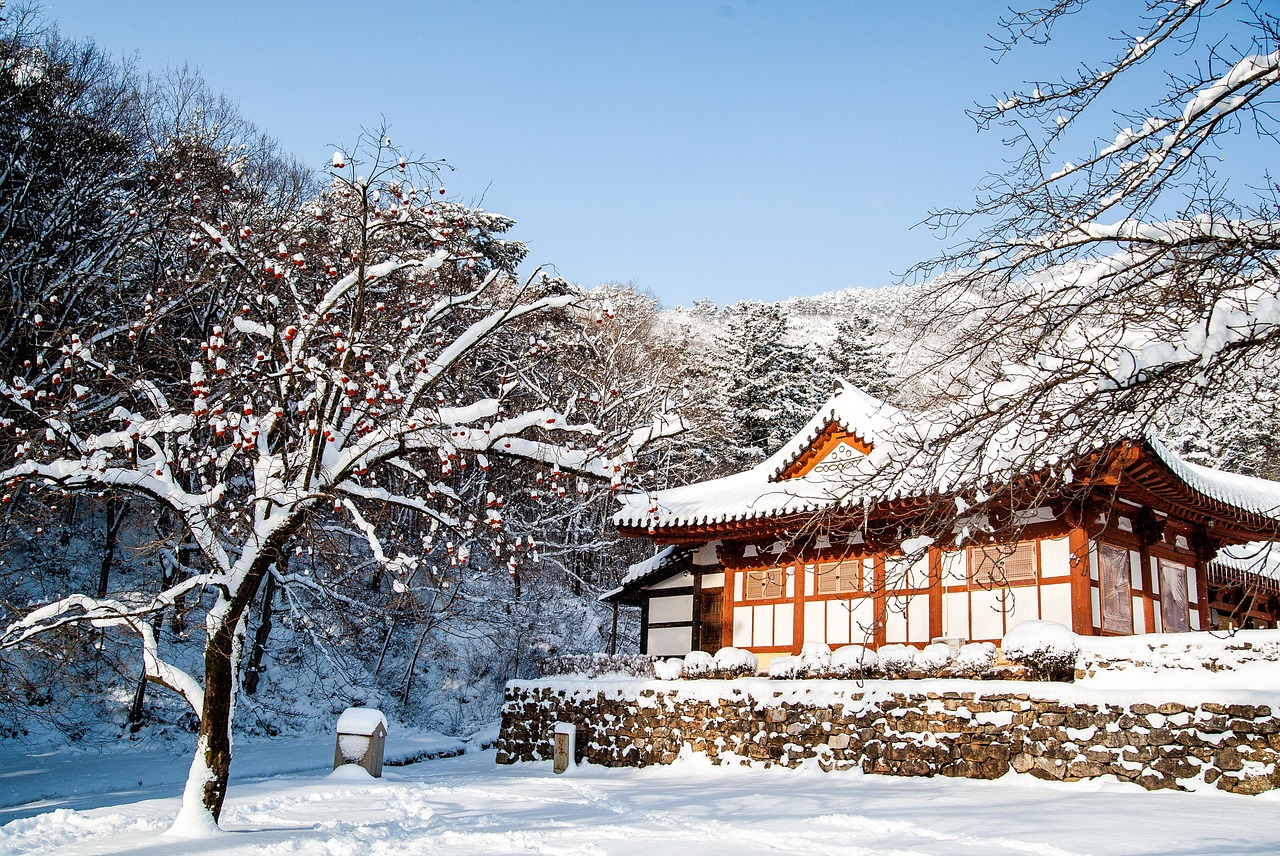 korea winter travel 관련 사진