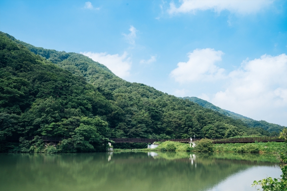 칠곡 가볼만한곳 베스트10