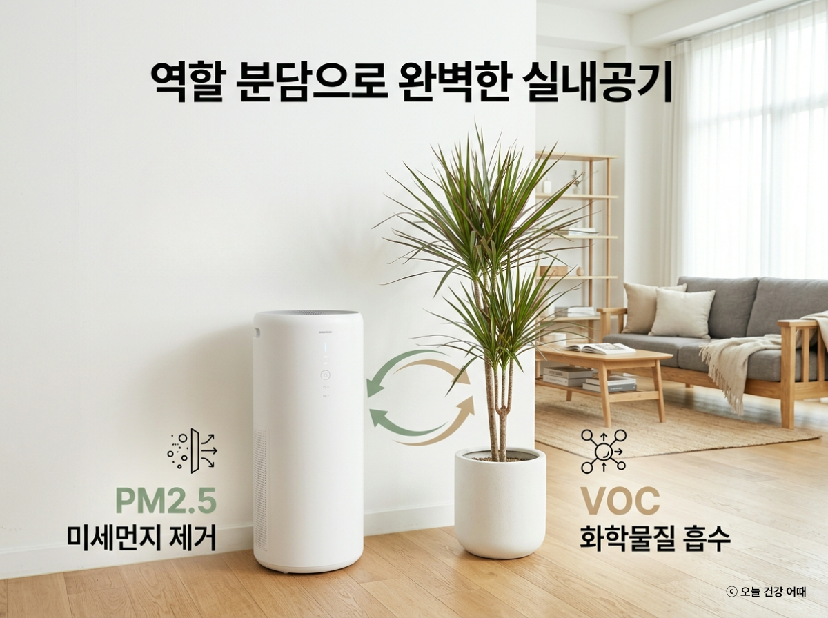 공기청정기 식물 역할분담, VOC제거 미세먼지, 실내공기질개선, 드라세나효과