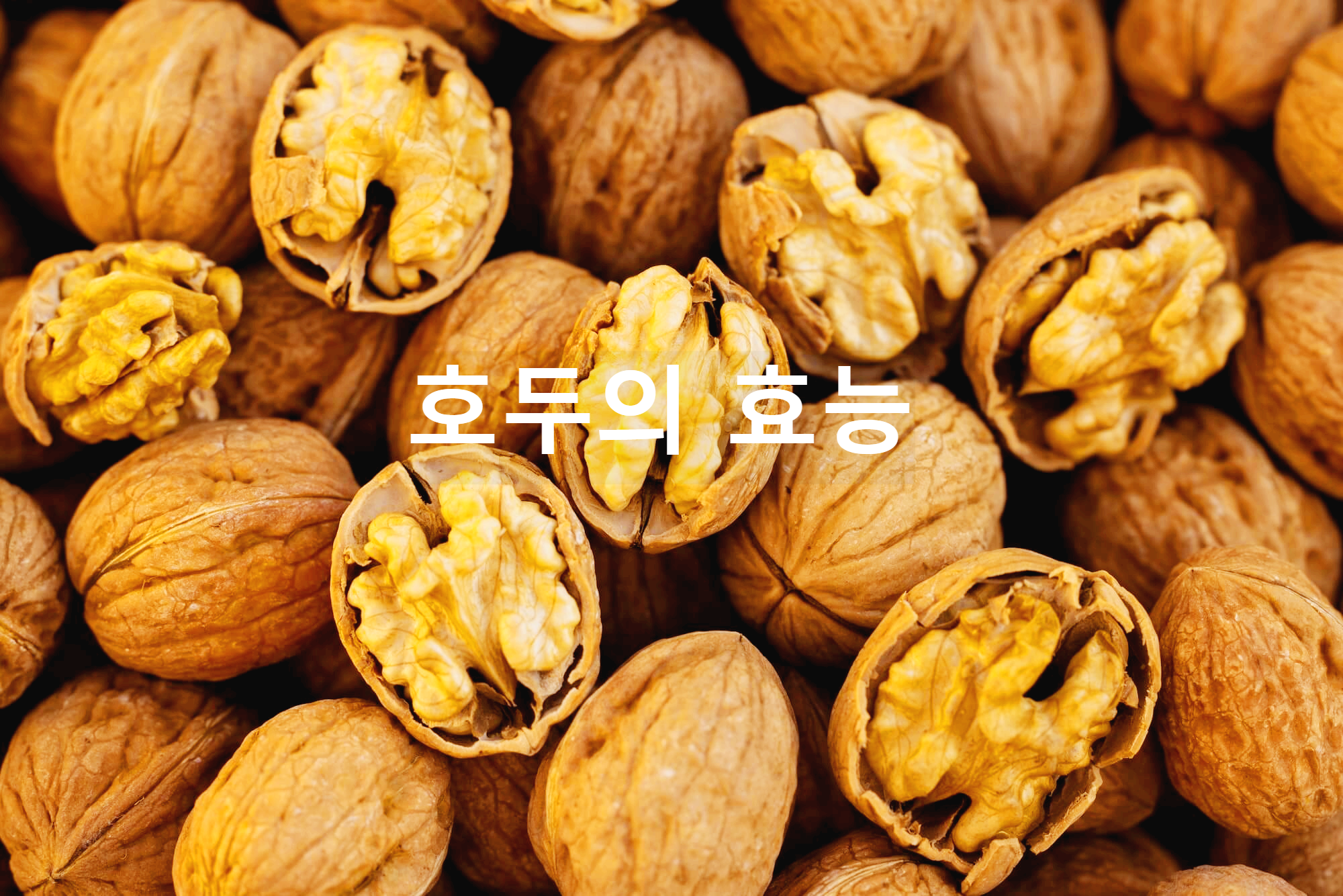 호두 효능