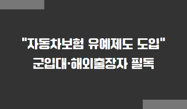 자동차보험 유예제도 도입, 군입대 및 해외출장자 필독