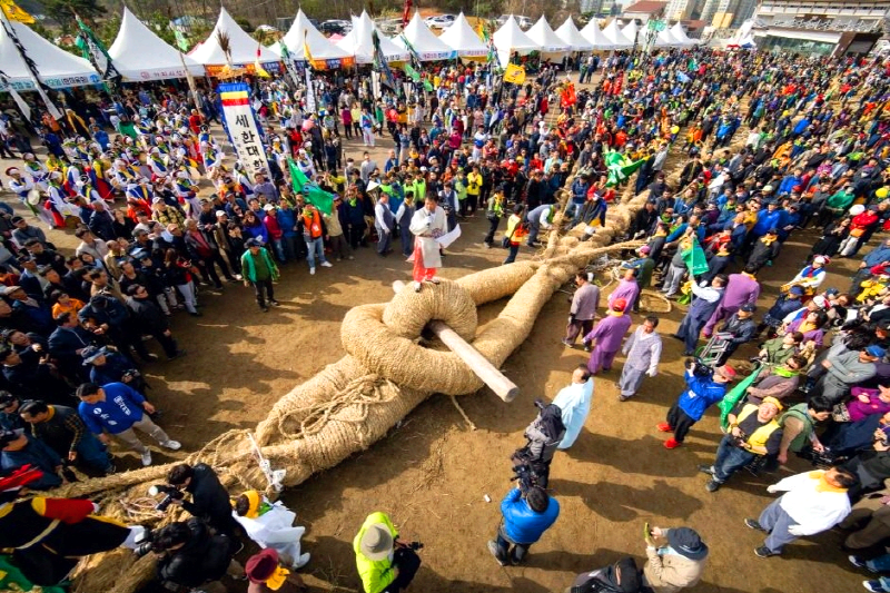 기지시줄다리기축제