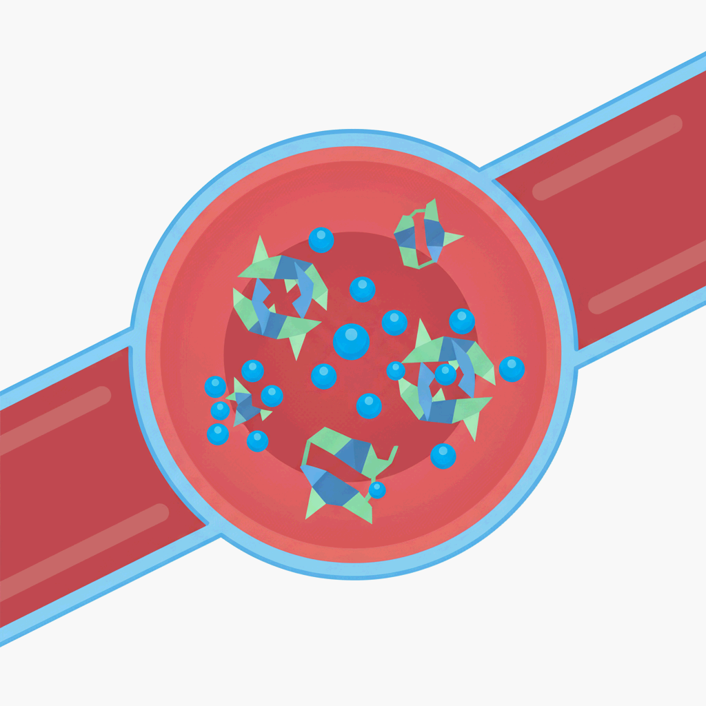 혈색소(헤모글로빈)가 산소를 운반하는 구조를 상징적으로 표현한 미니멀 일러스트레이션