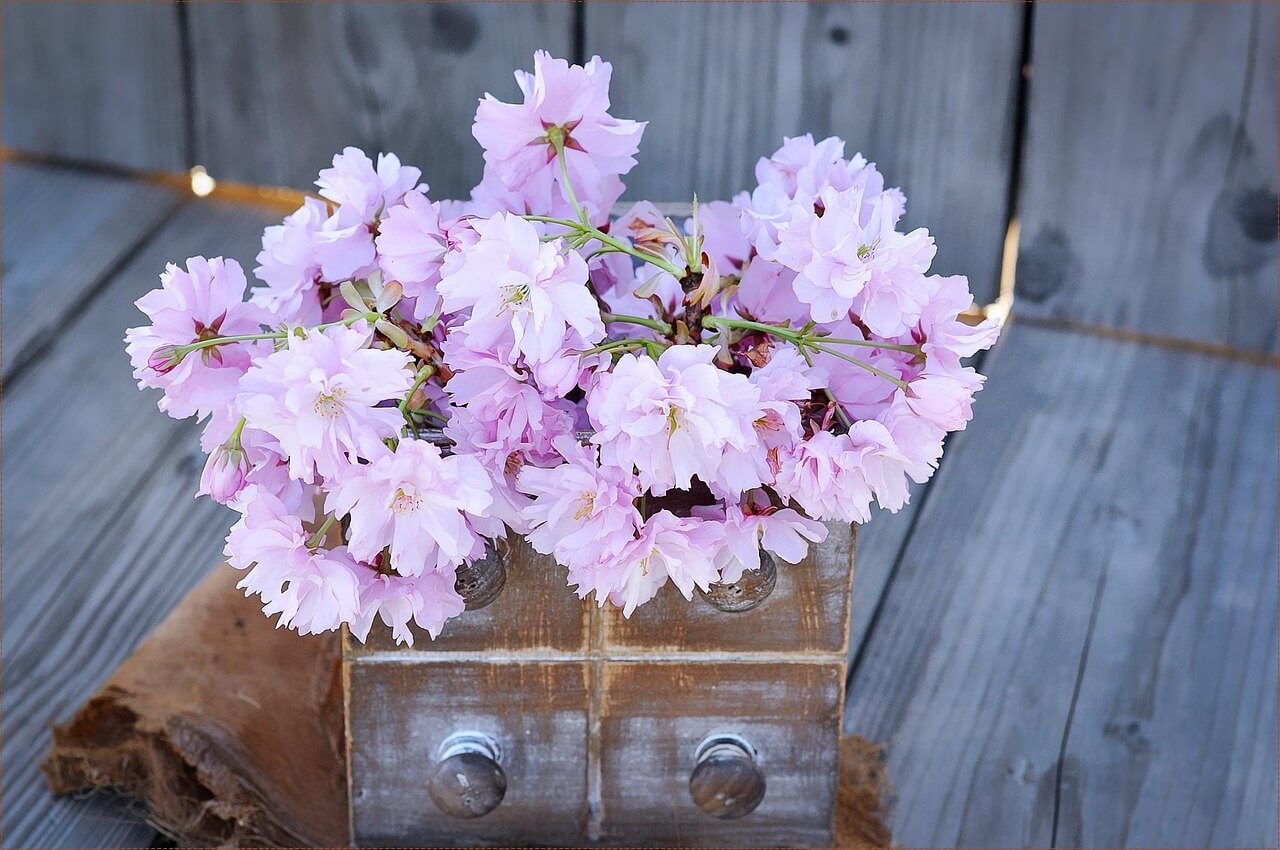 신한은행 정기예금 금리