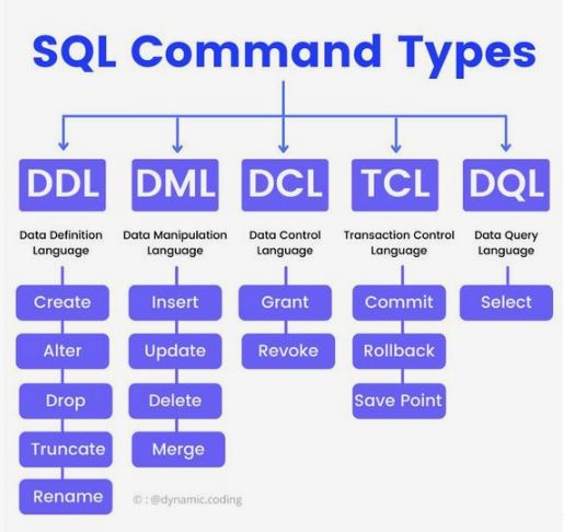 SQL의 종류