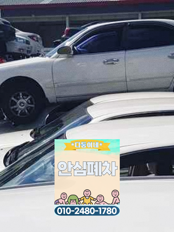번호판 영치 이력 차량 접수 전 확인