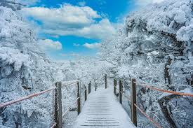 휴애리 입장료 50% 할인받는 법