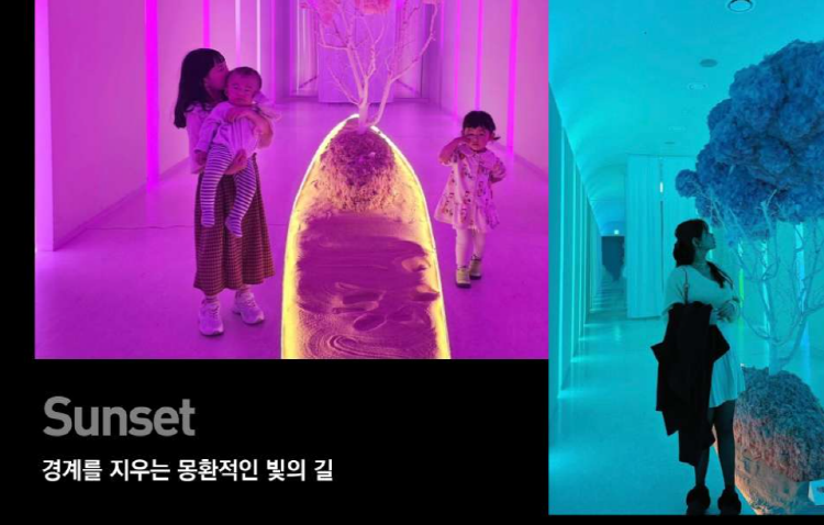 여수 녹테마레