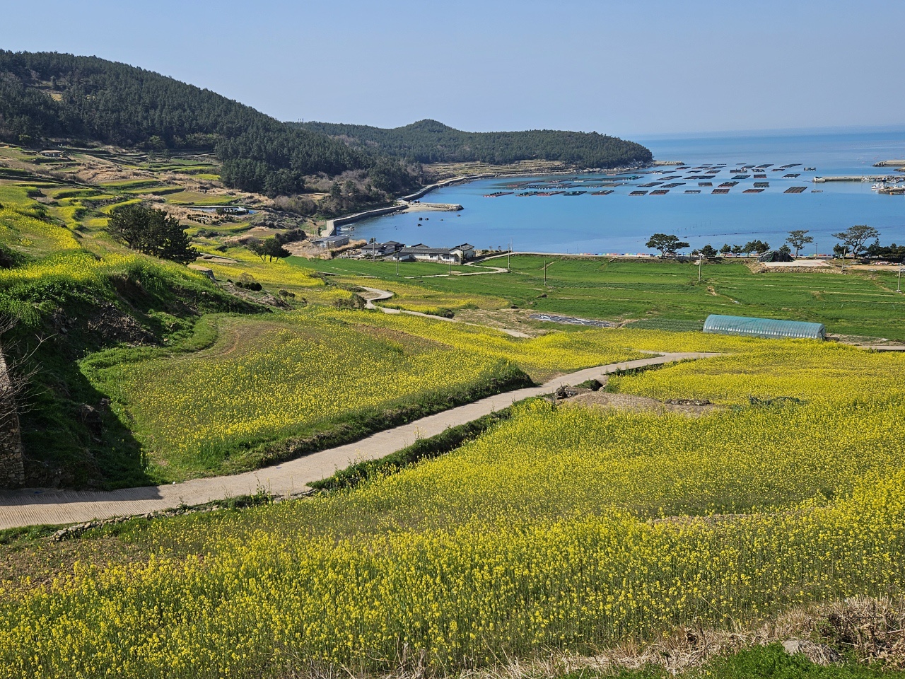 청산도 슬로우 걷기 축제: 자연과 문화의 완벽한 조화