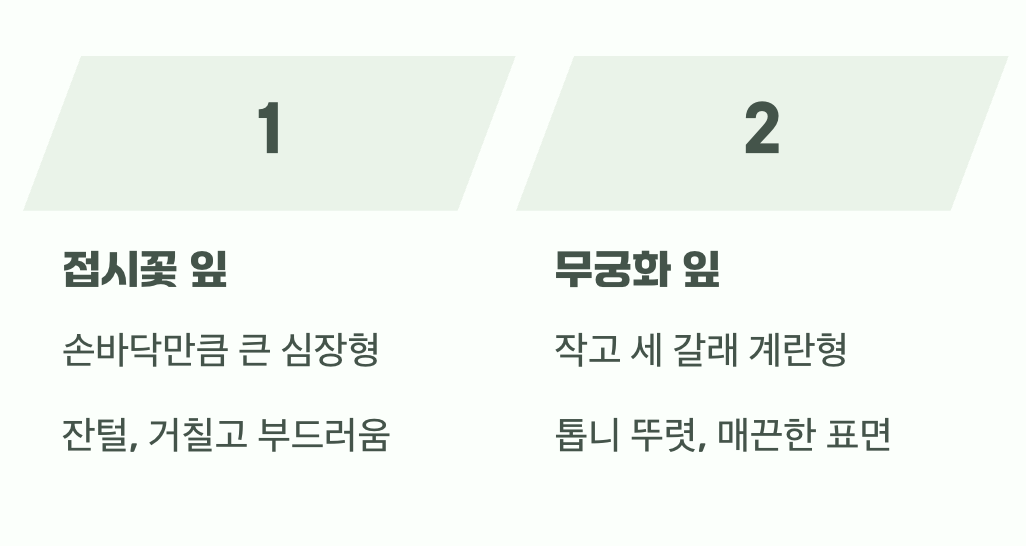 3. 잎사귀 모양, 숨은 힌트 찾기