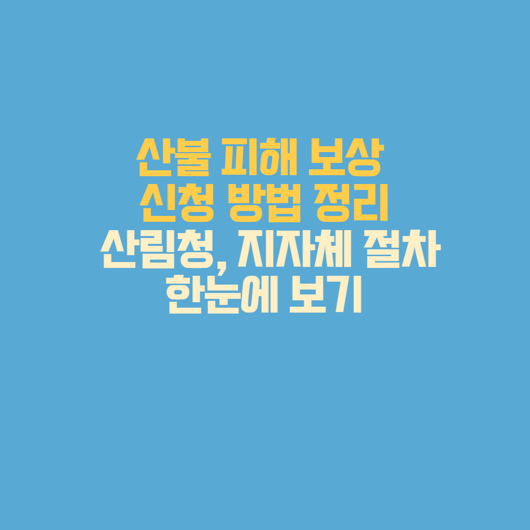 산림청과 지자체를 통한 산불 피해 보상 신청 방법