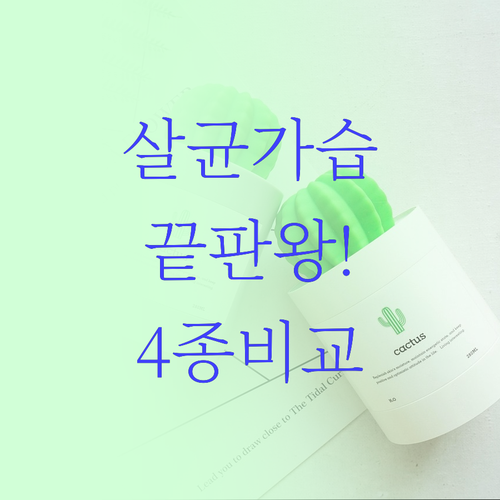 살균 가습 끝판왕 가열식 가습기 4종..