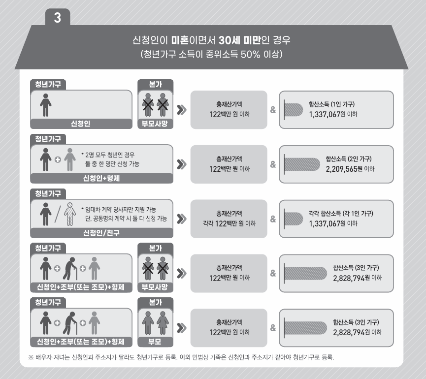 청년 가구 구성 및 소득, 재산 조사 사례 3