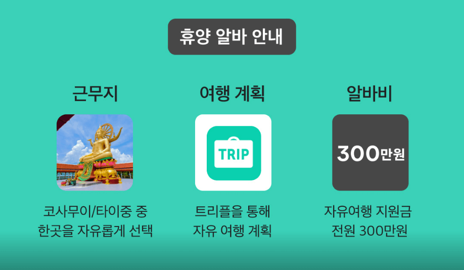 대만 여행지원금 트리플 당근알바