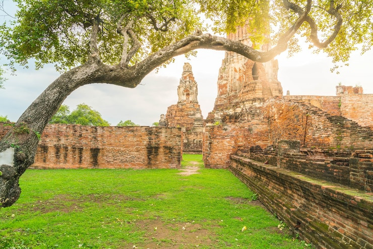 치앙마이 자유여행
