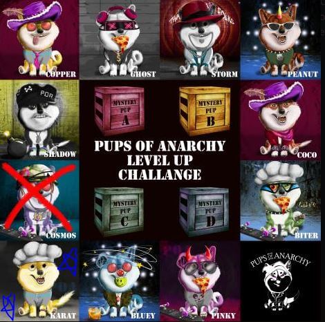 Pups 무료 NFT