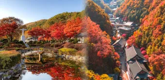 가을 단풍 여행지 베스트10 산책로 사진스팟 대중교통으로 여유롭게_12