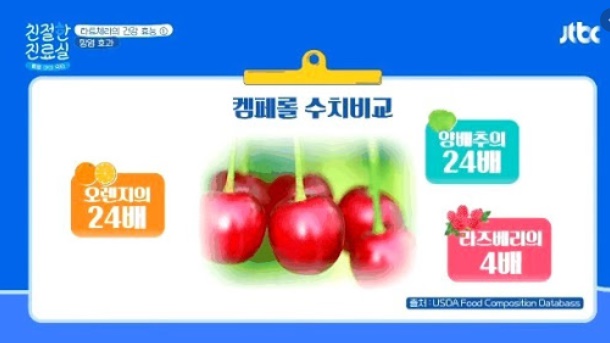 타트체리 캠페롤수치