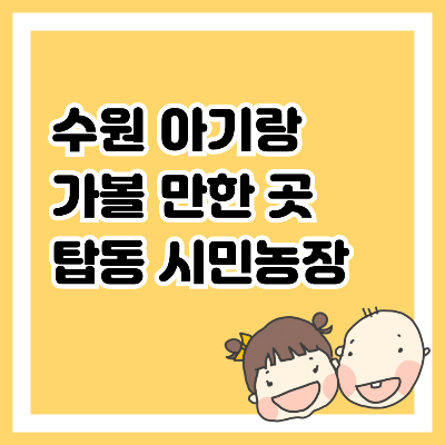 수원 아기랑 가볼 만한 곳&#44; 탑동 시민농장