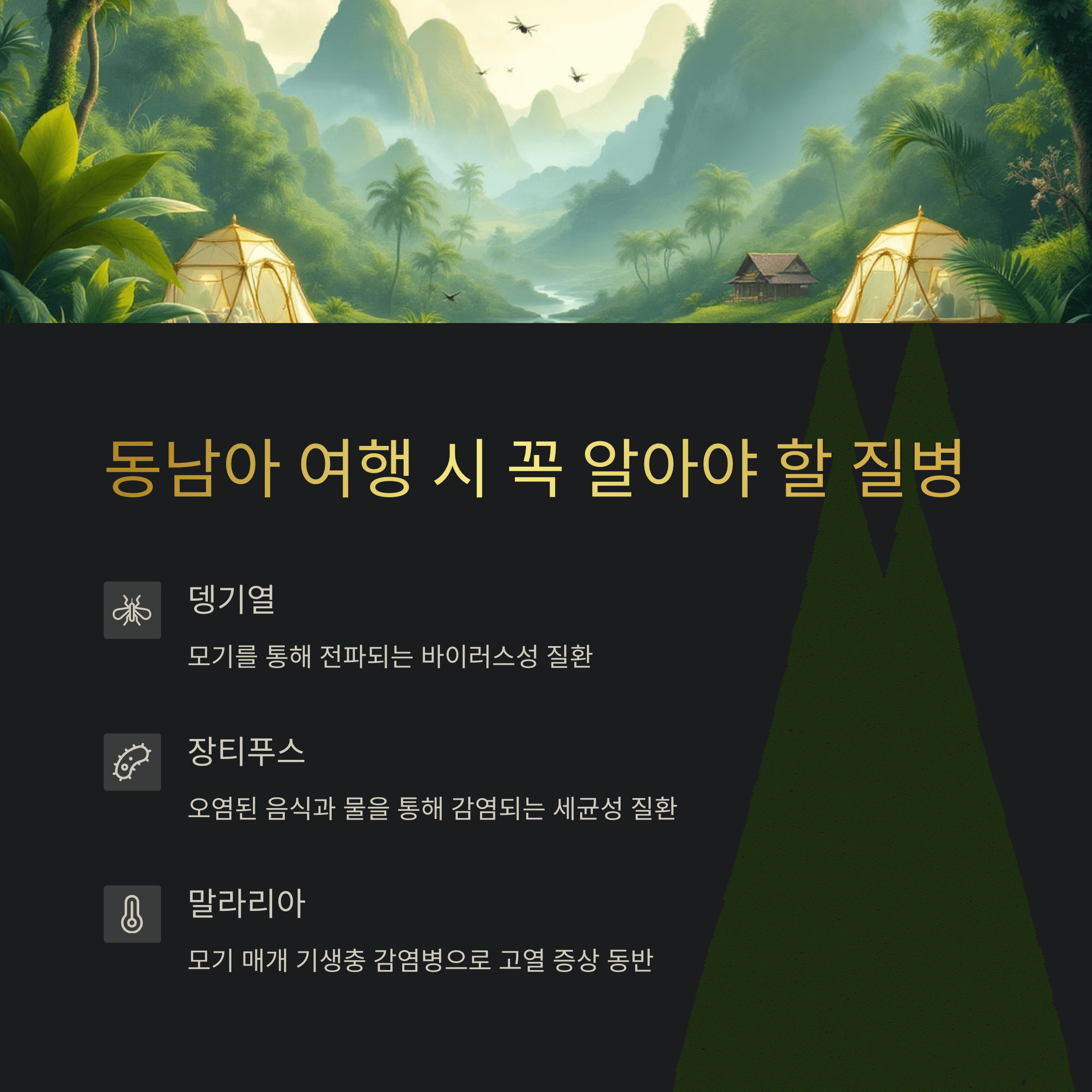 동남아 여행 시 꼭 알아야 할 질병