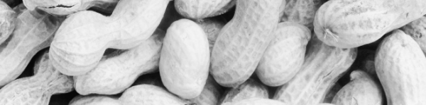 땅콩 심는시기 ,땅콩 심는 방법: 4월 중순 ~ 5월 초