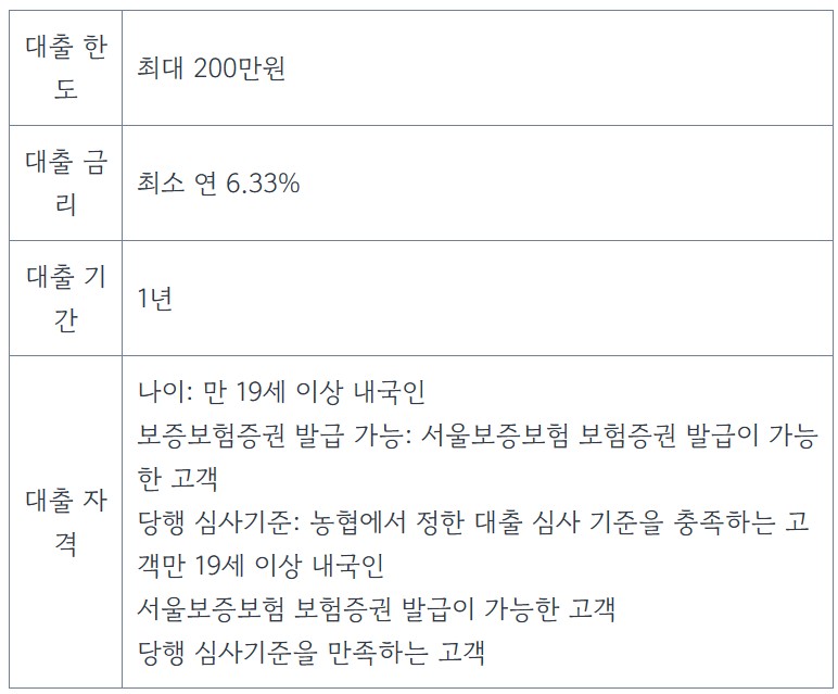 신한 쏠편한 비상금대출